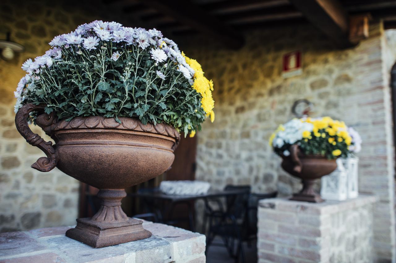 Borgo Del Faggio Daire Montepulciano Stazione Dış mekan fotoğraf